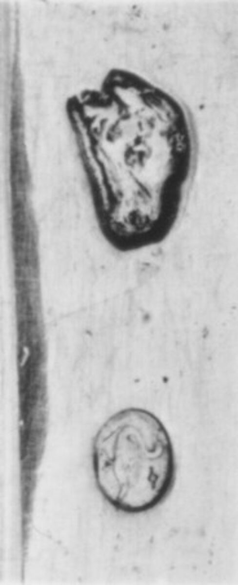 Sugar bowl, Pierre Benardié (or Berardier) (master 1775, active 1792), Silver; glass, French, Lyons