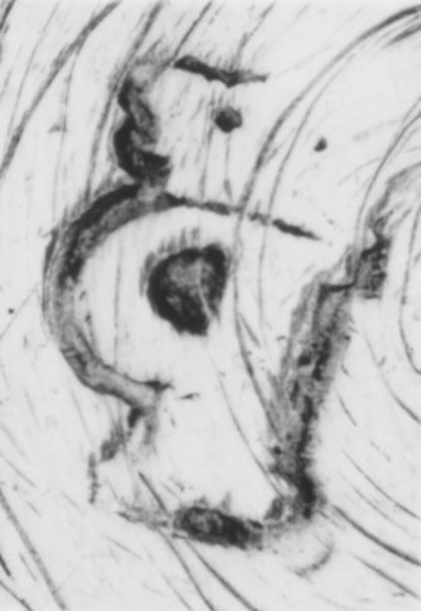 Sugar bowl with cover and tray, Pierre Vallières (master 1776, recorded 1806), Silver, French, Paris