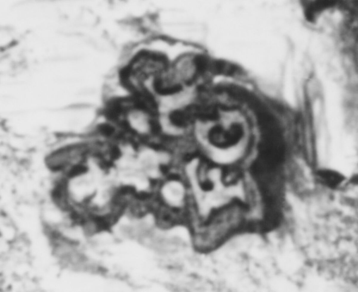 Pair of candlesticks, François Thomas Germain (French, Paris 1726–1791 Paris, master 1748), Silver, French, Paris