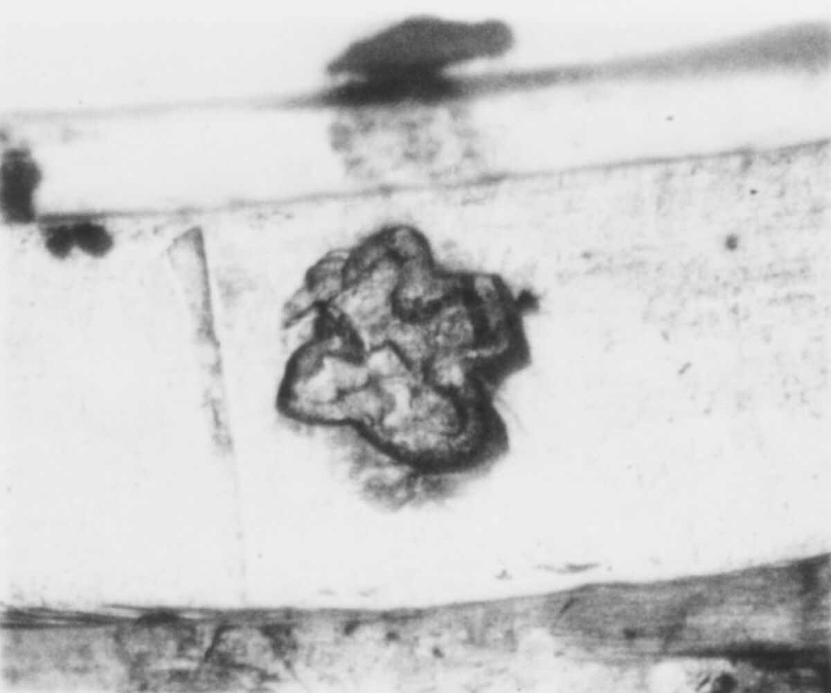 Spice box with grater, Nicolas Mahon (master 1719, died 1733), Silver, French, Paris