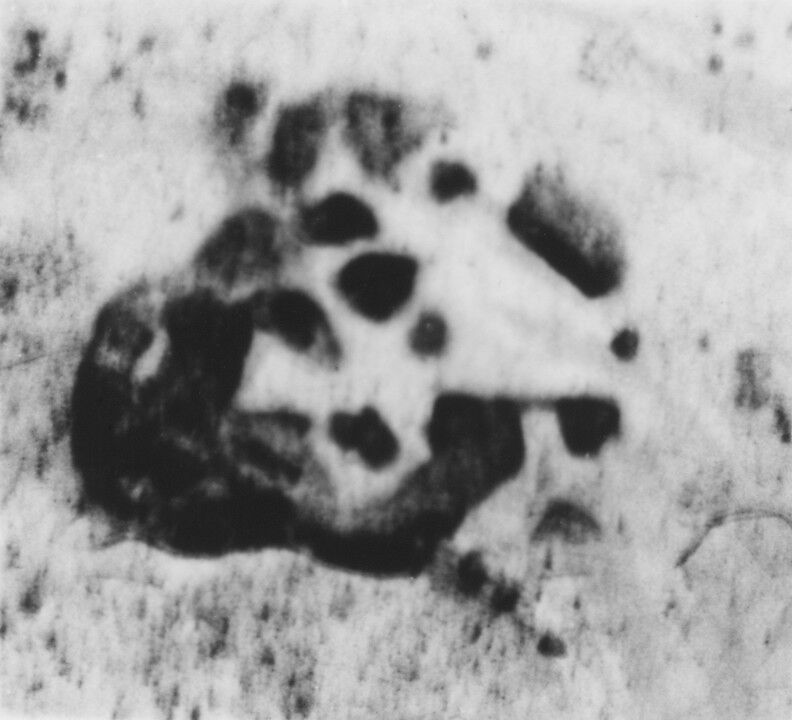 Egg cup, Aymé (Edme) Joubert (master 1703, died between 1741 and 1747), Silver, French, Paris