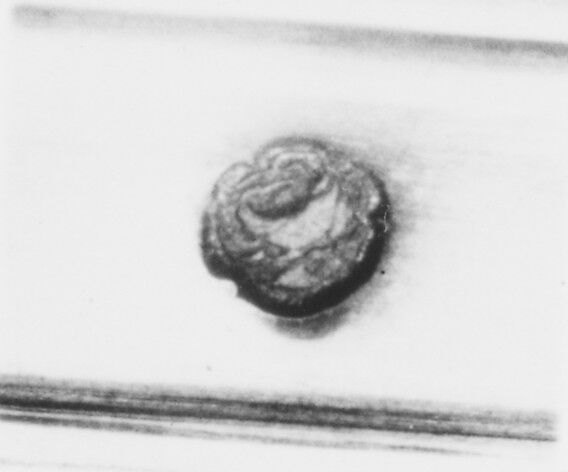 Set of six liqueur cups, Jacques Charles Chambert (master 1760, active 1788), Silver, French, Versailles (Paris Mint)