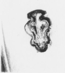 Collection cup, Silver, French, possibly Saint-Pol-de-Léon and Tréguier (Morlaix) (Rennes Mint)