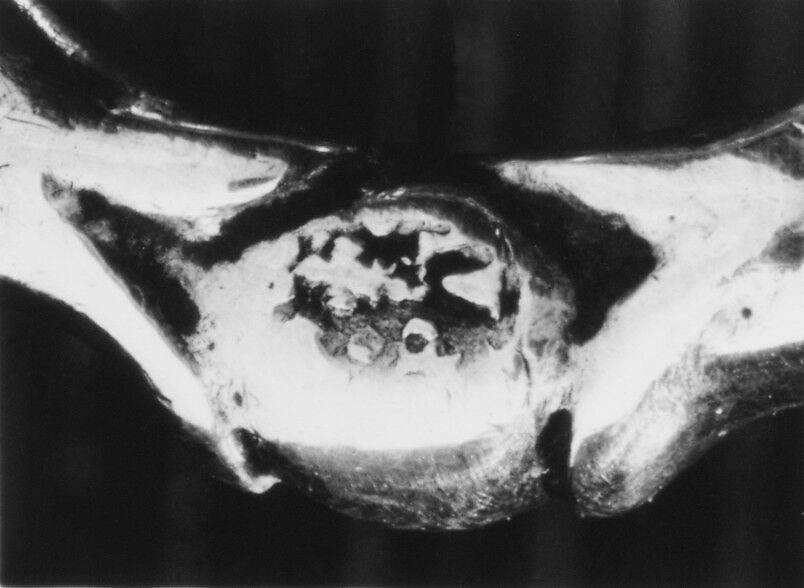 Wine taster, Pierre Antoine Viaucourt (master 1753, recorded 1789), Silver, French, Paris