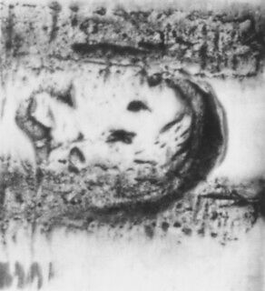 Dish (one of a pair), Jérôme Rebillé (1685–1740, master 1717), Silver, French, Rennes