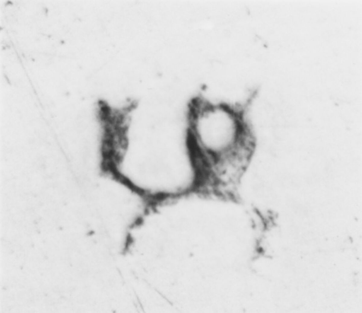 Dish, Probably I.B., Silver, French, Bayonne