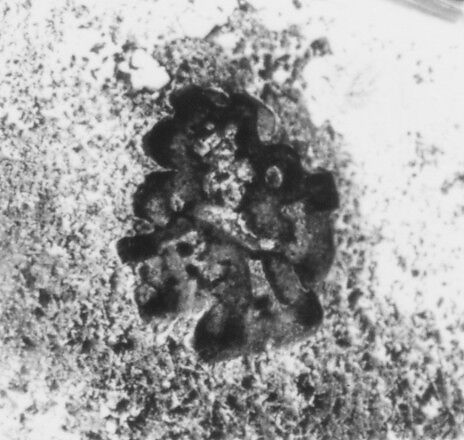 Candelabrum (one of a pair), Robert Joseph Auguste (French, 1723–1805, master 1757), Silver, French, Paris