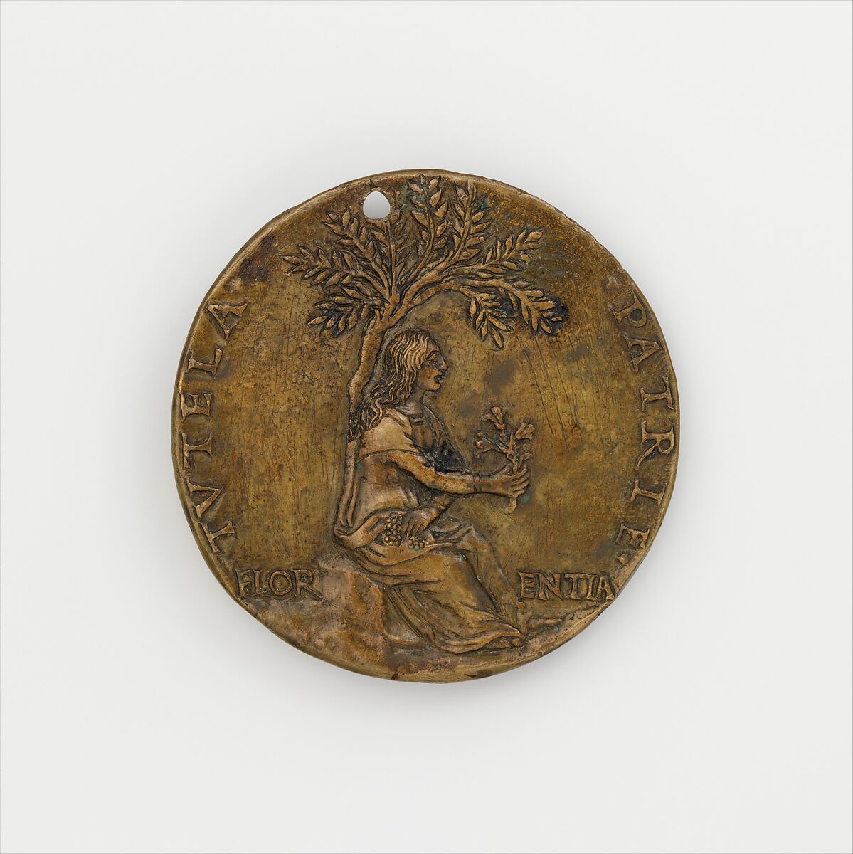Lorenzo de' Medici, 'il Magnifico' (1448–1492), Medalist: Niccolò Fiorentino (Niccolò di Forzore Spinelli) (Italian, Florence 1430–1514 Florence), Bronze, Italian