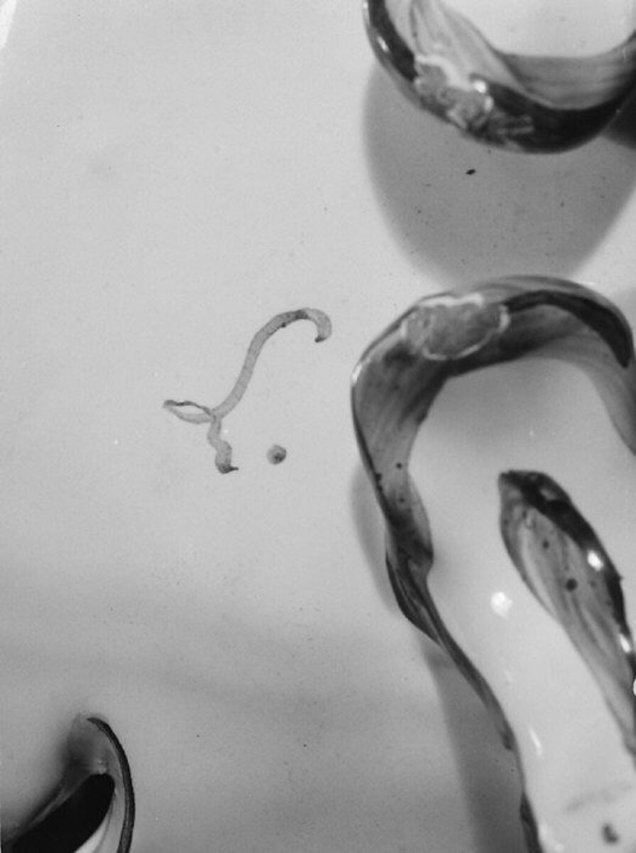 Cruet frame and two cruets with covers, Faience (tin-glazed earthenware), French, Sceaux