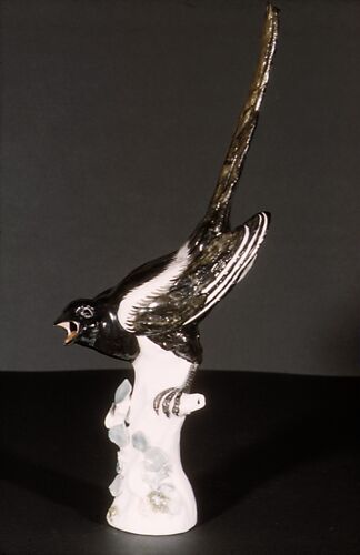 Magpie (one of a pair)