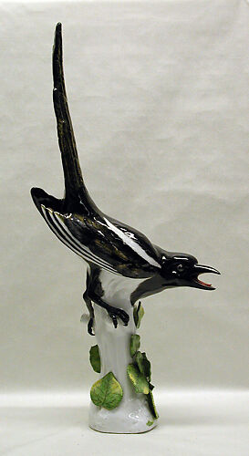 Magpie (one of a pair)
