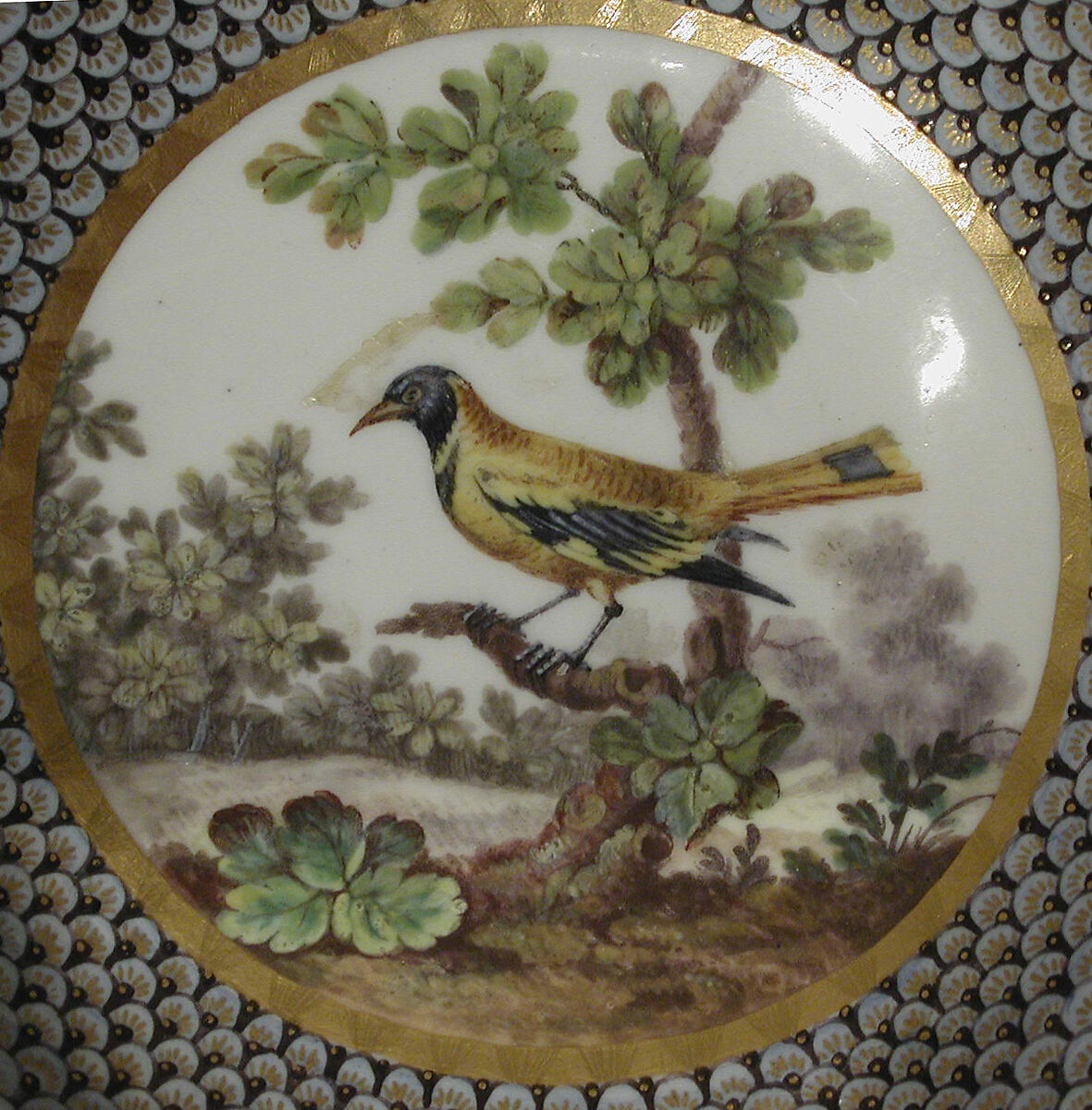 Cup and saucer (goblet Hebert et soucoupe) (part of a service), Sèvres Manufactory (French, 1740–present), Soft-paste porcelain 
decorated in polychrome enamels, gold, French, Sèvres