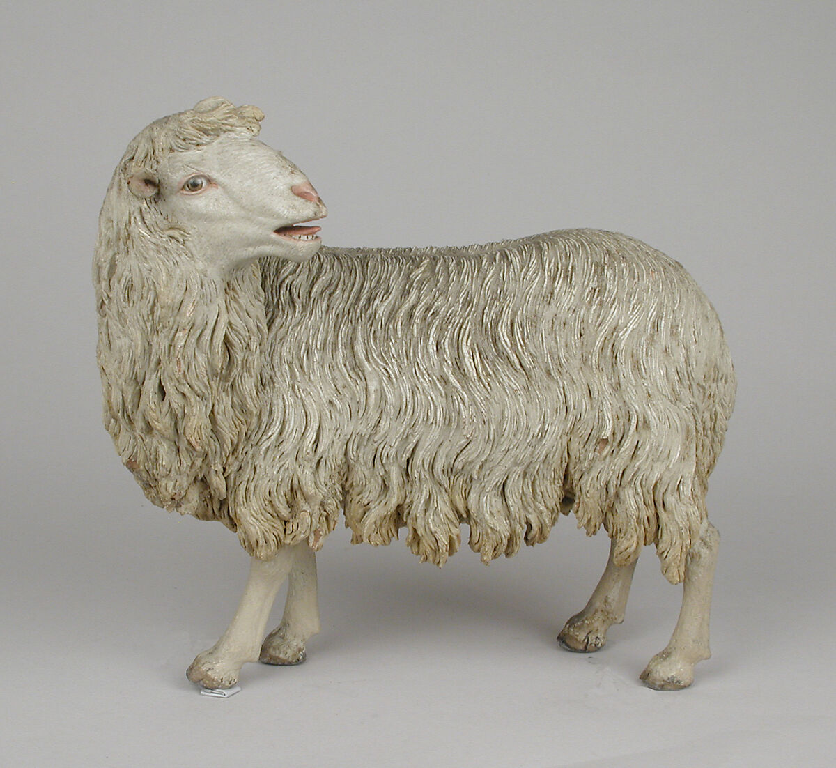 Standing sheep, Possibly by Nicola Vassalo, Polychromed terracotta body, wooden ears, lead legs, Italian, Naples 