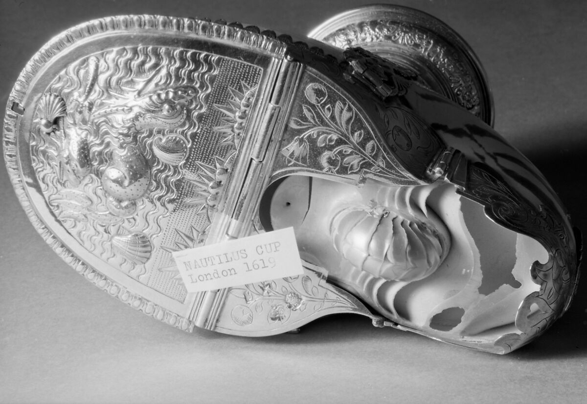 Nautilus shell box, Nautilus shell, silver, British, London
