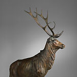 Bull Elk, Eli Harvey (American, Ogden, Ohio 1860–1957 Alhambra, California), Bronze, American