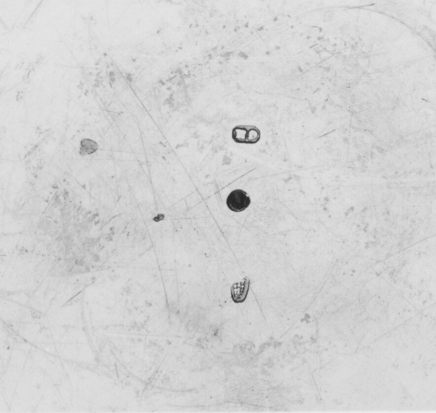 Plate (one of two), Gottlieb Menzel (1676–1757, master 1709), Silver gilt, German, Augsburg