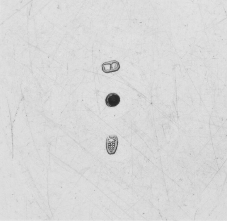 Plate (one of two), Gottlieb Menzel (1676–1757, master 1709), Silver gilt, German, Augsburg