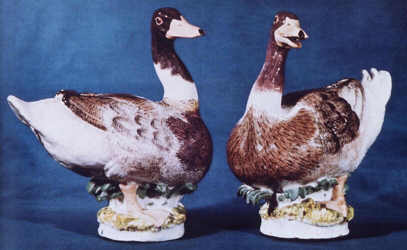 Mallard duck (one of a pair)