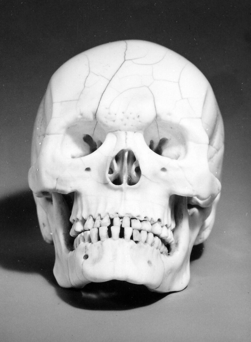 Skull, Ivory, German or Netherlandish 