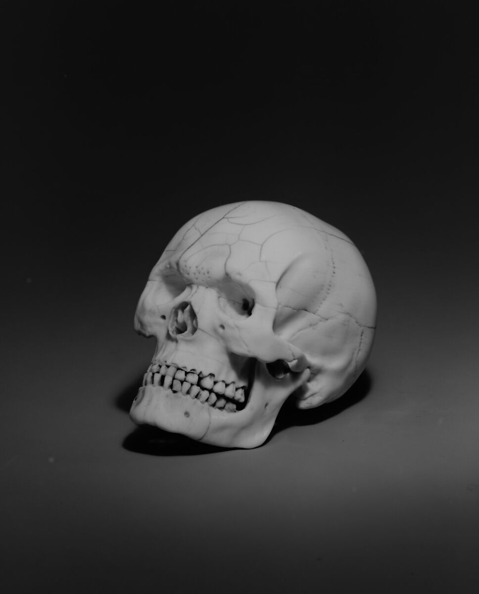 Skull, Ivory, German or Netherlandish