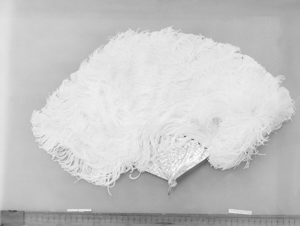 Fan, Ostrich feathers, mother-of-pearl, wood, French