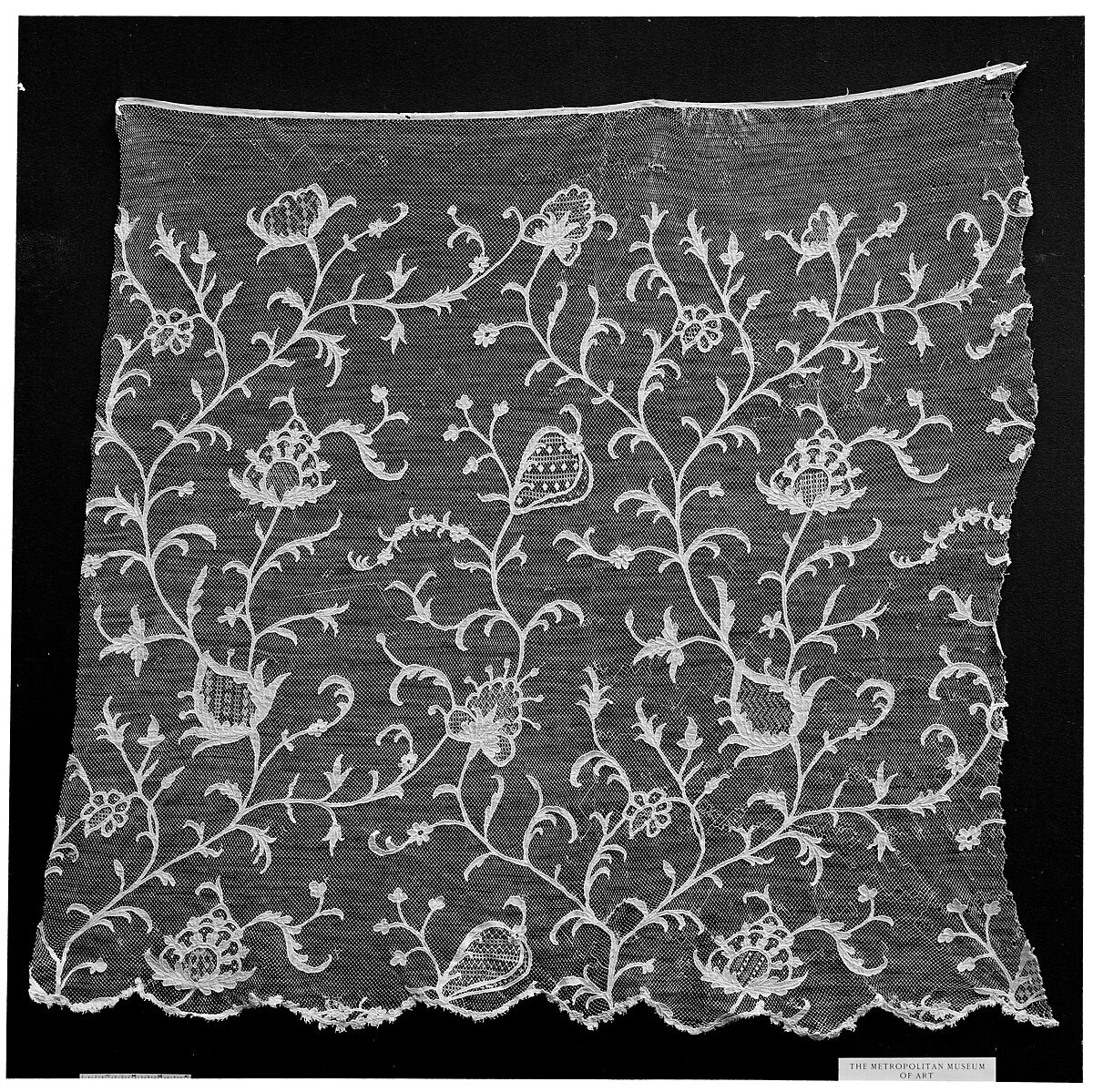 Curtain fragment, Applique on net, applied, French 