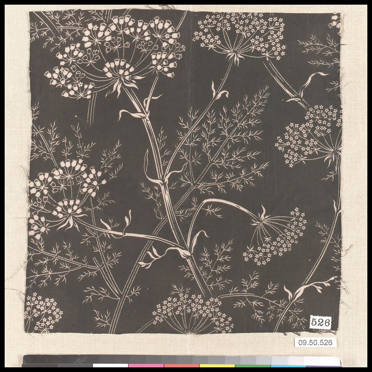 Piece, Cotton, German
