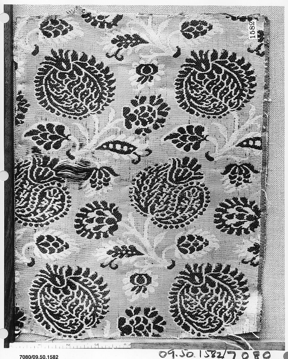 Fragment, European