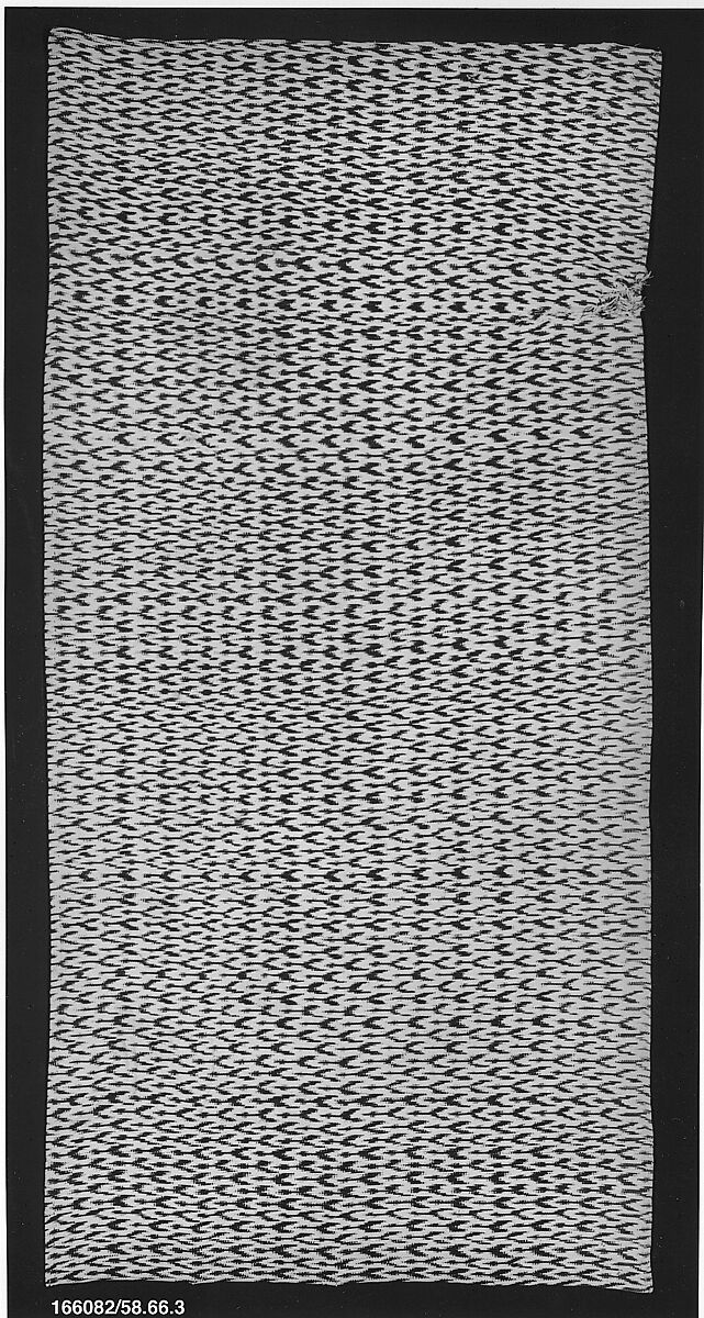 Shawl (fragment), Cotton 