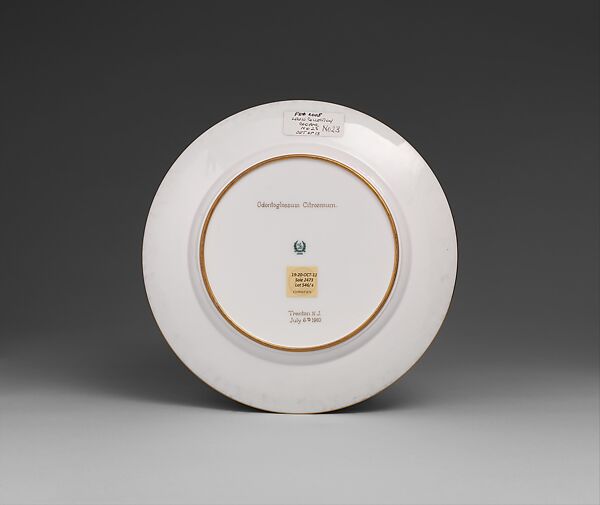 Plate, Porcelain, gold ground, American