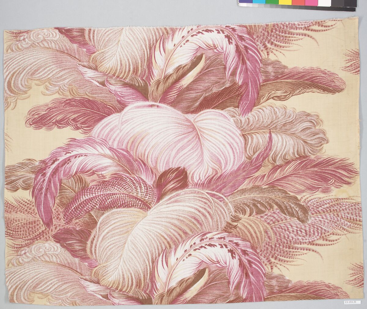 Fragment, Cotton, French