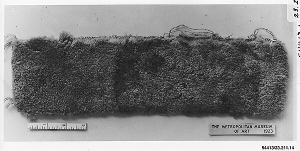 Rug fragment