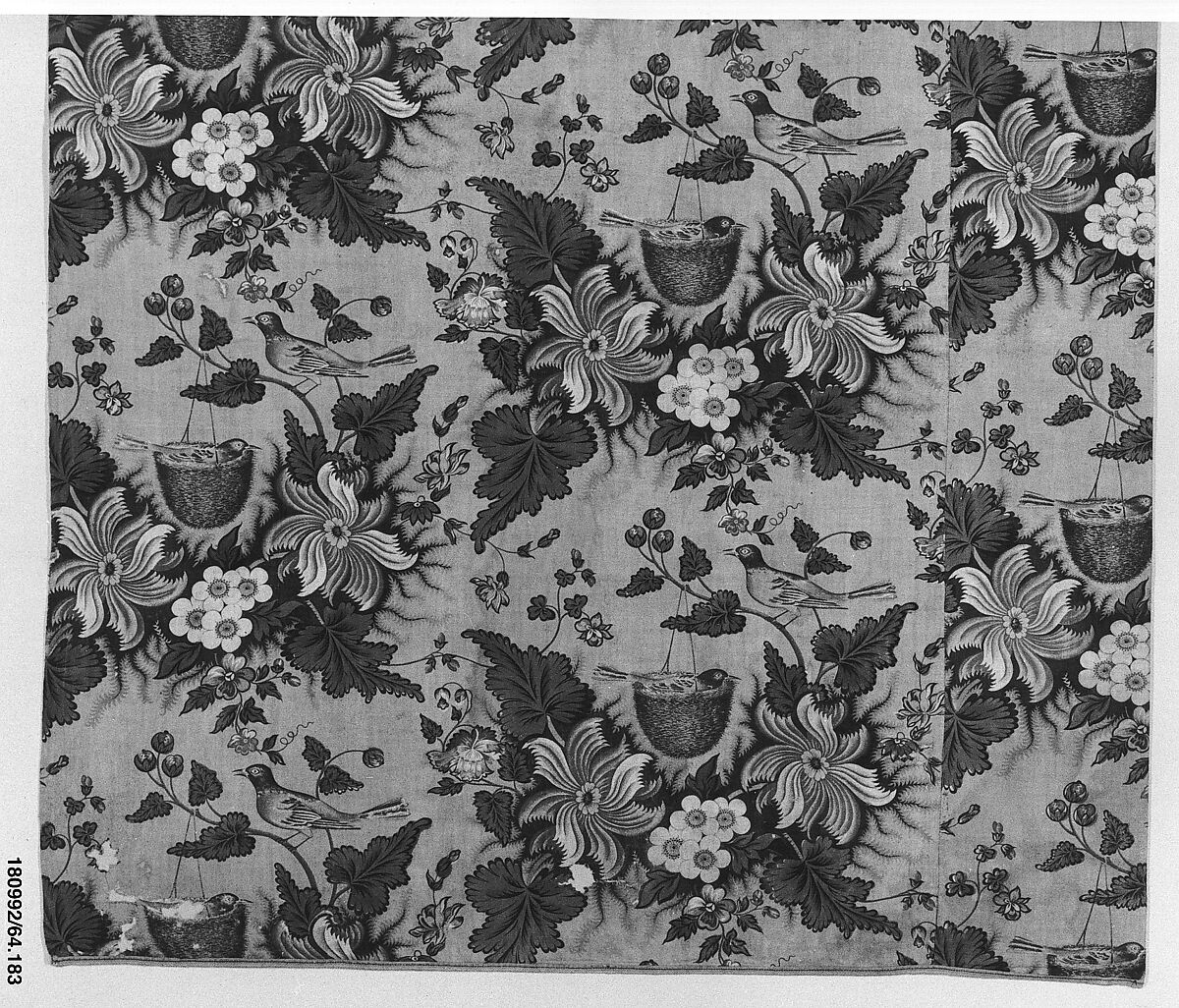 Curtain, Cotton, British