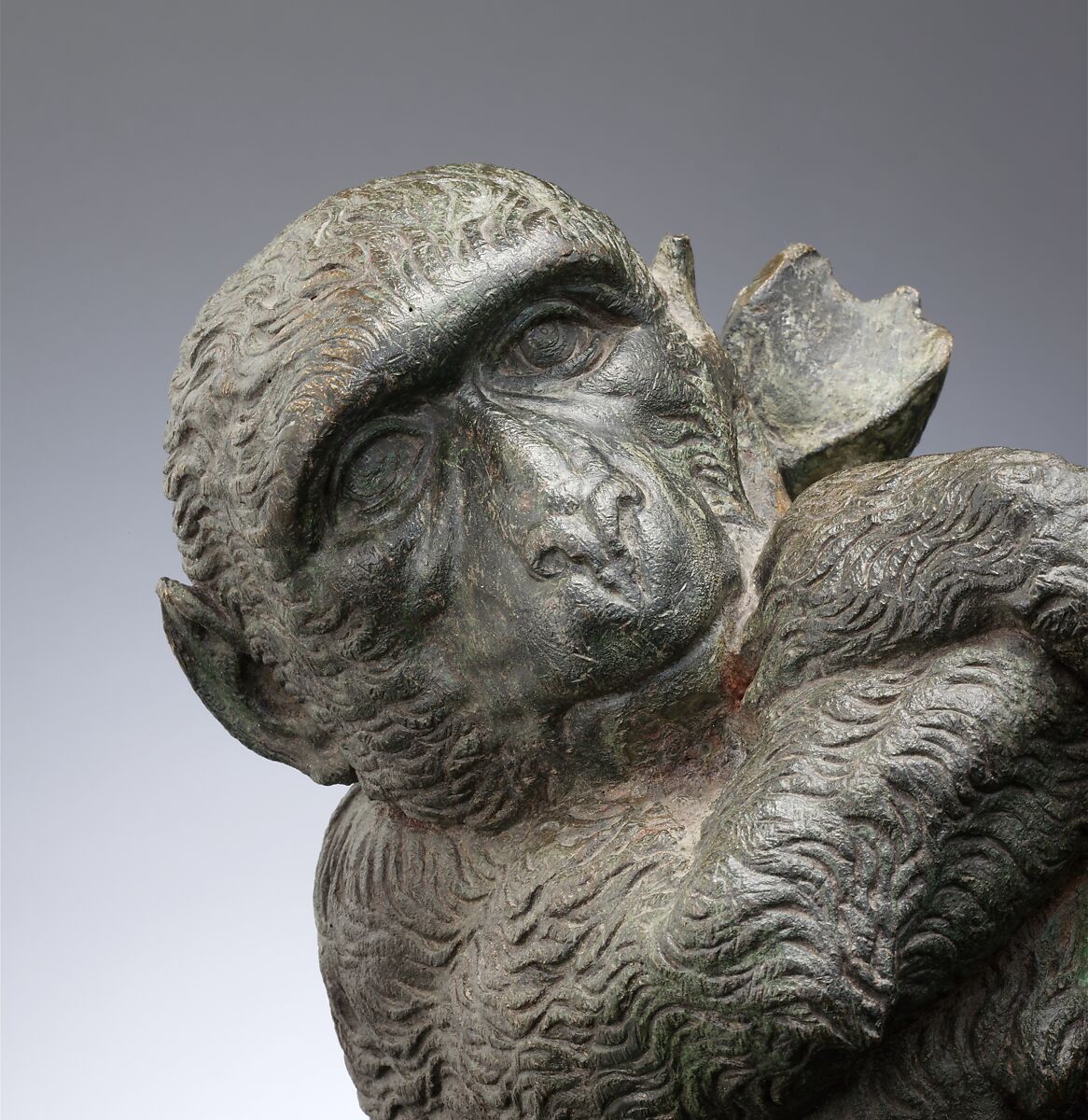 Mother ape, Camillo Mariani (Italian, 1567–1611), Bronze, Italian, Urbino