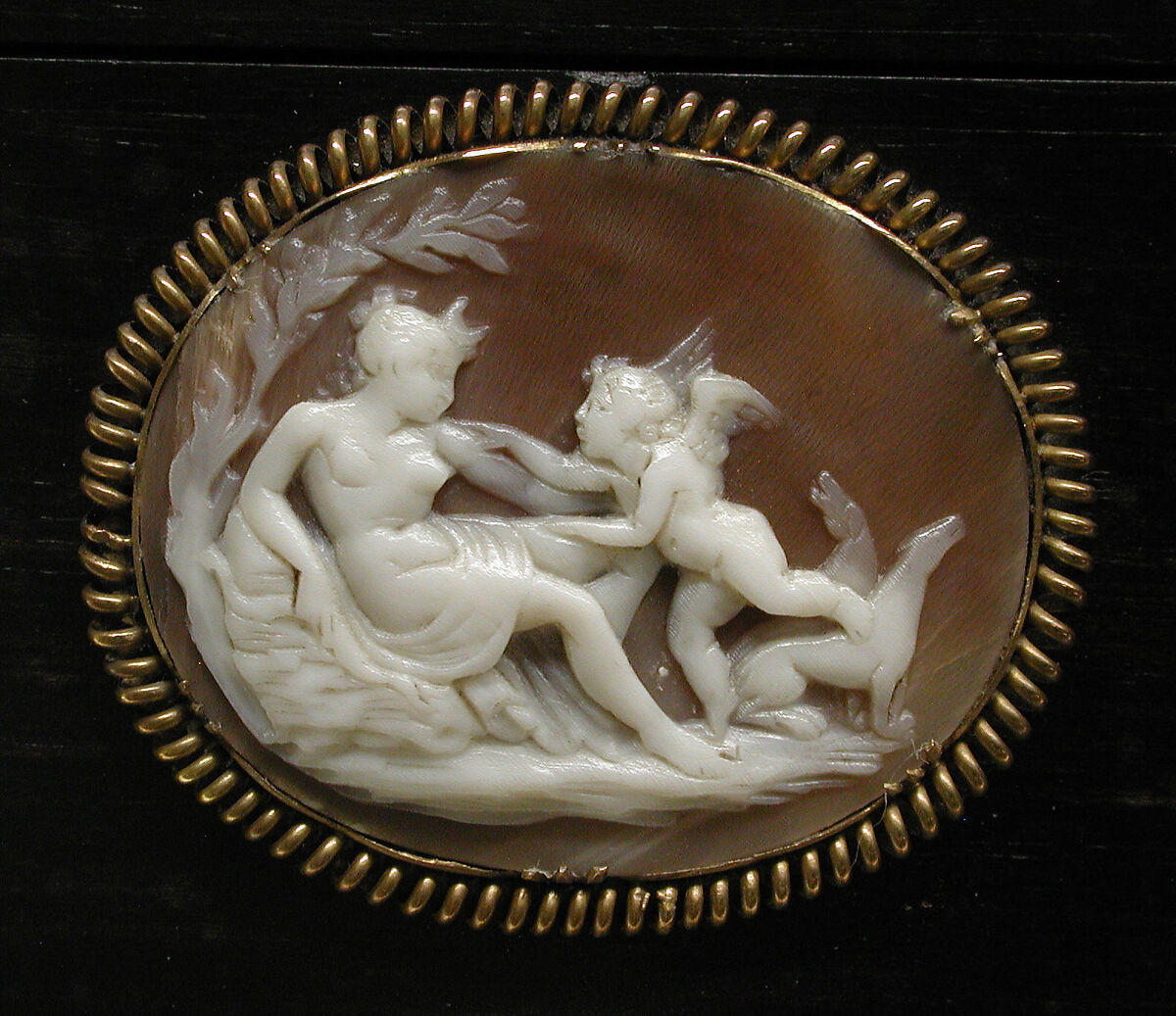 Casket, Unknown maker for R. &amp; S. Garrard &amp; Co. (founded 1735), Shell cameo; Macassar ebony; silver-gilt, British (casket) and Italian (cameos)