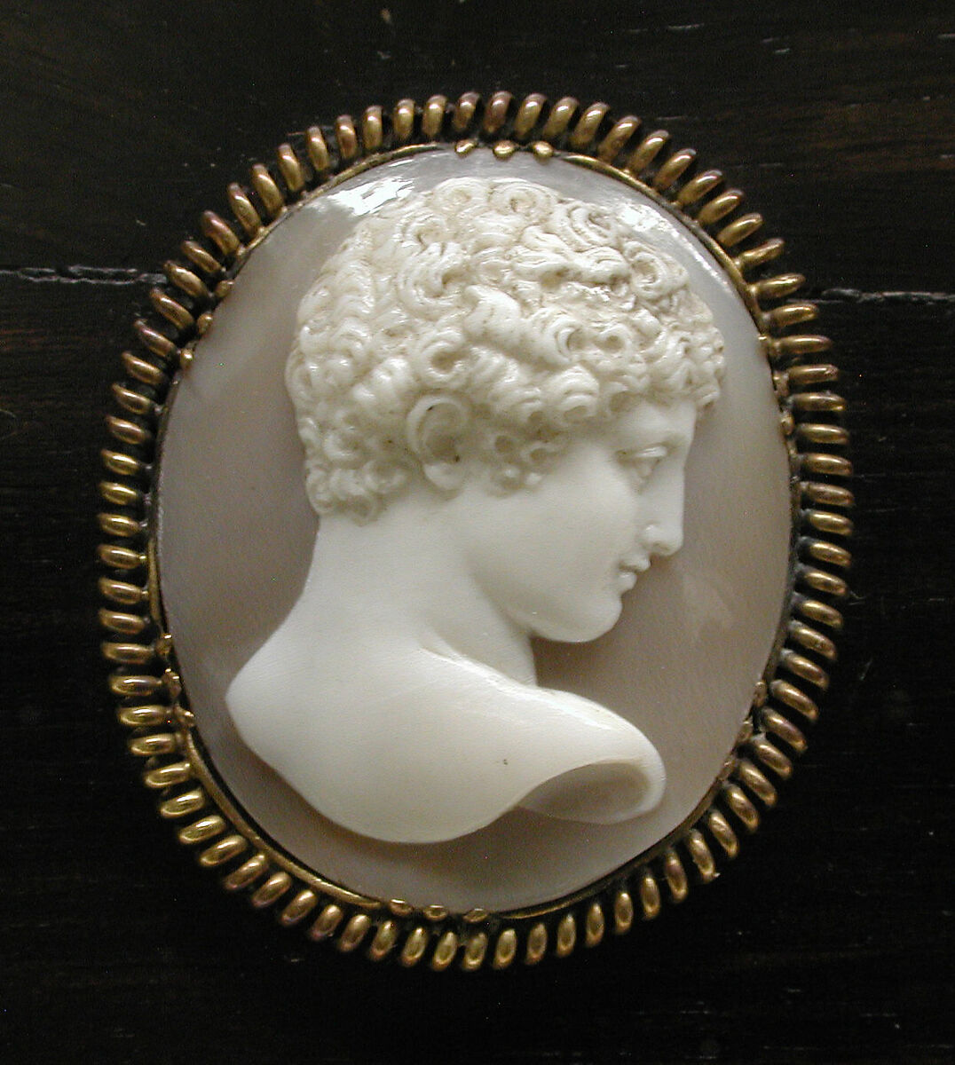 Casket, Unknown maker for R. &amp; S. Garrard &amp; Co. (founded 1735), Shell cameo; Macassar ebony; silver-gilt, British (casket) and Italian (cameos)
