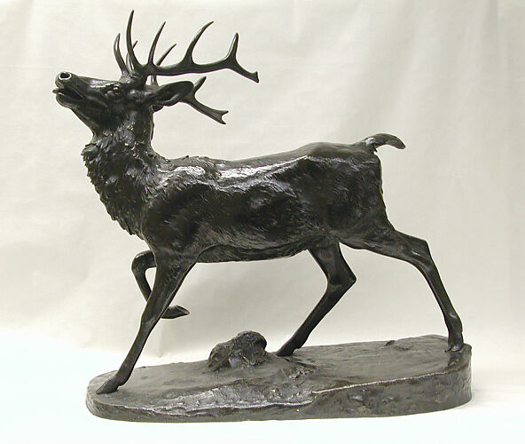 Standing Stag (Cerf debout)