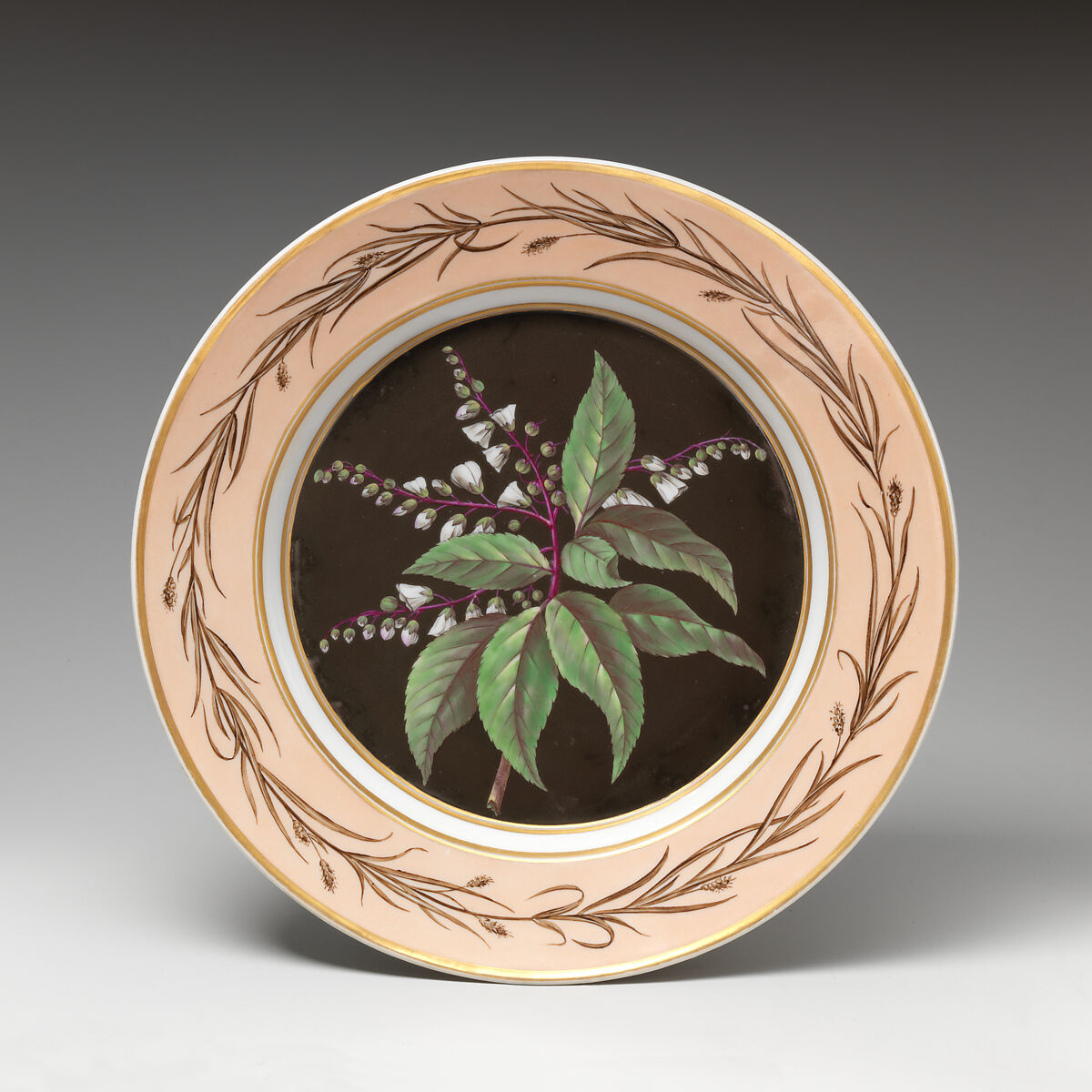 Royal Porcelain Manufactory (Königliche Porzellan-Manufaktur), Berlin, Plate with Lily of the Valley Tree (Clethra arborea), German, Berlin