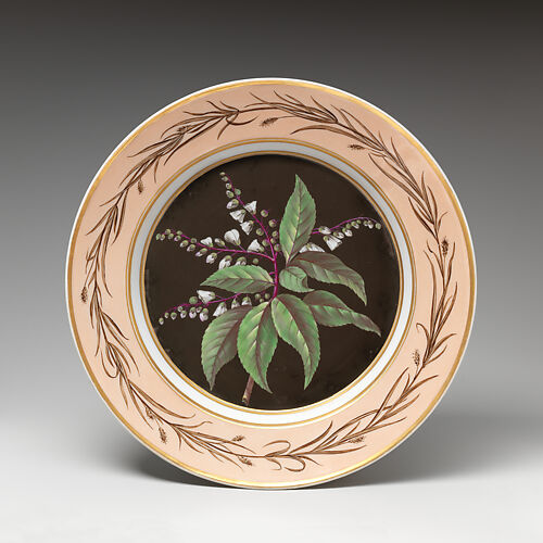 Plate with Lily of the Valley Tree (Clethra arborea)