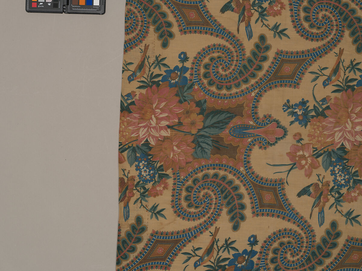 Length, Cotton, French