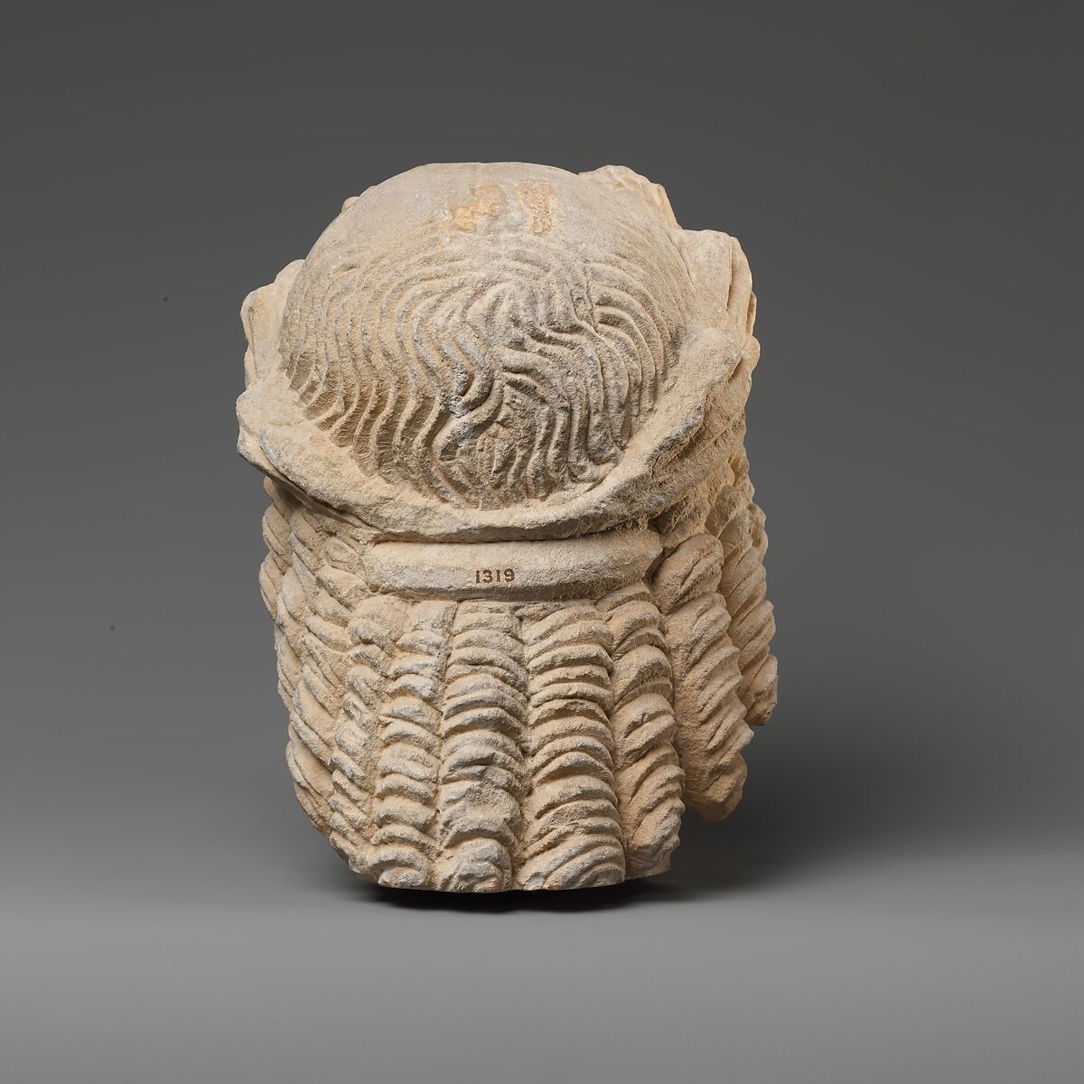 Limestone head of Apollo, Limestone, Cypriot