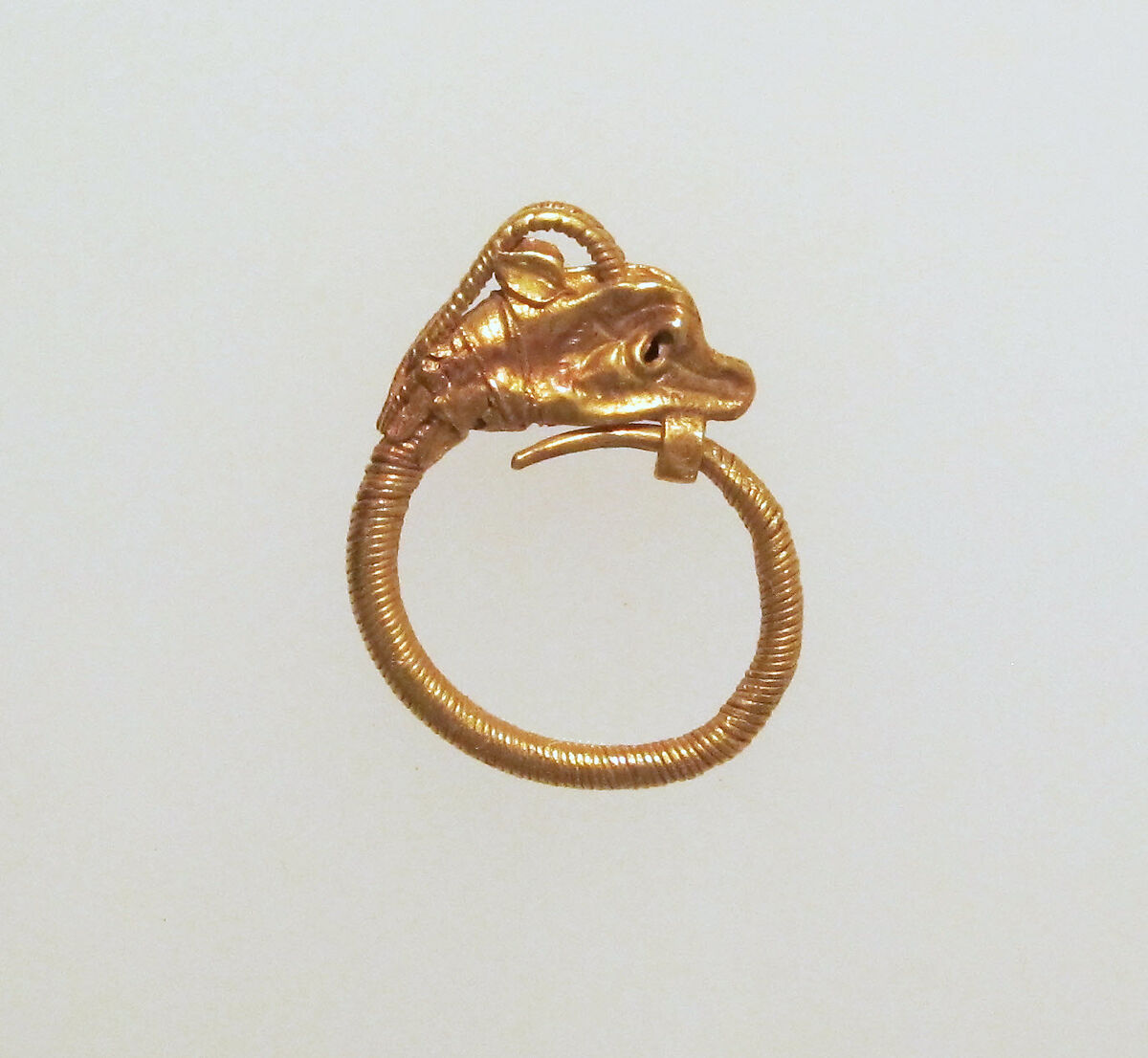 Gold earring with head of an antelope, Gold, Greek 