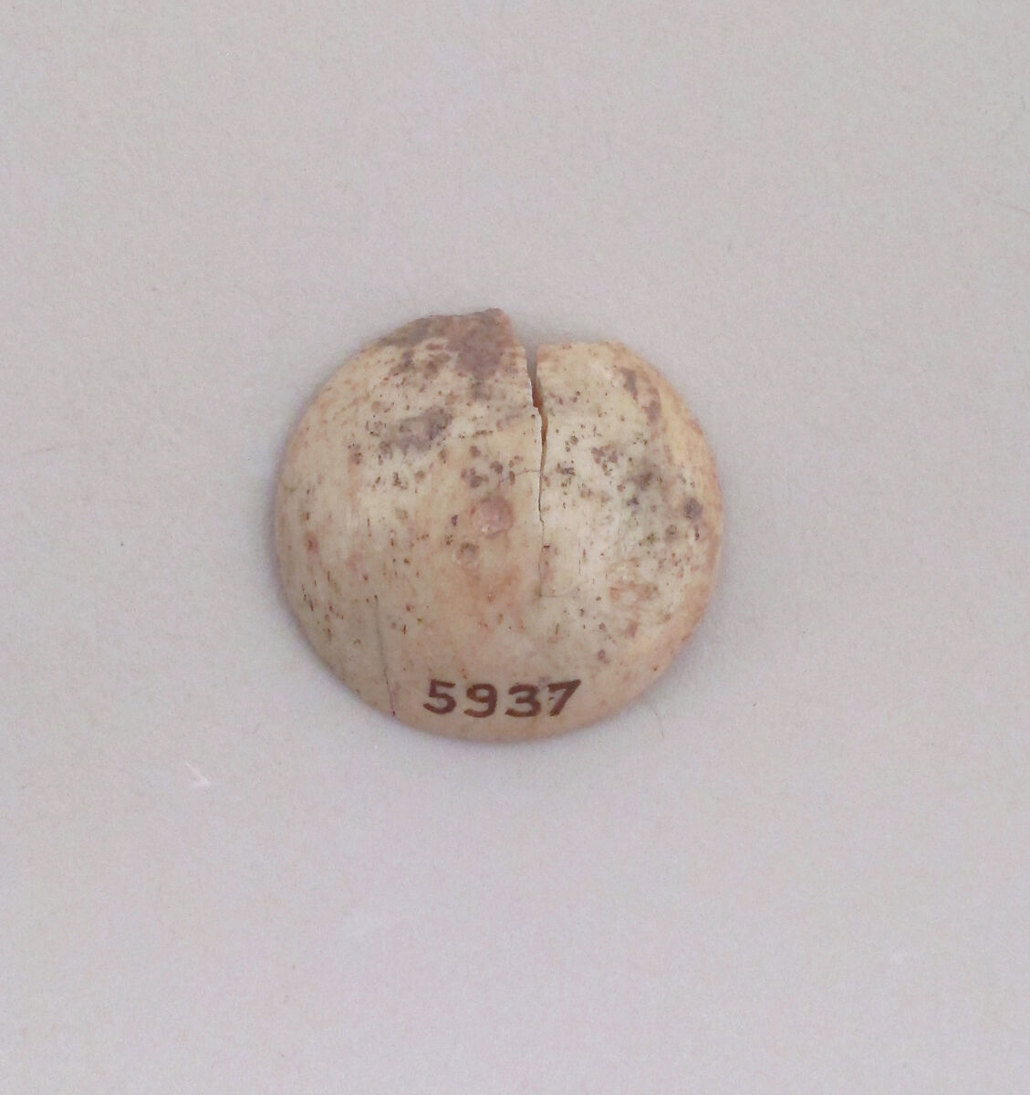 Semi-spherical disc with mortice, Bone