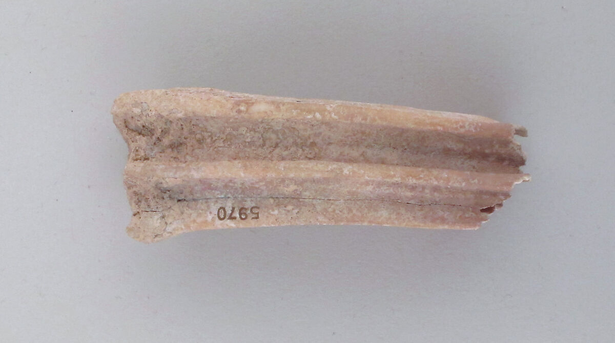 Tooth of an ox, Bone, Cypriot