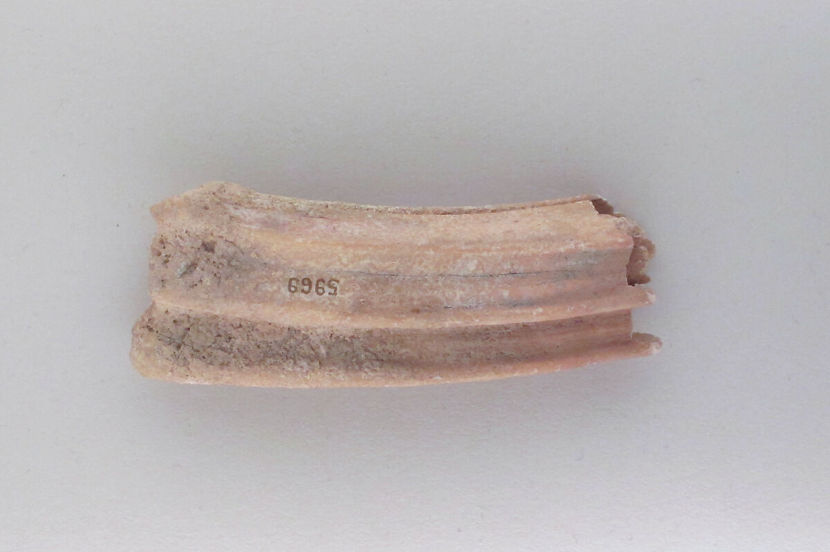 Tooth of an ox, Bone, Cypriot 