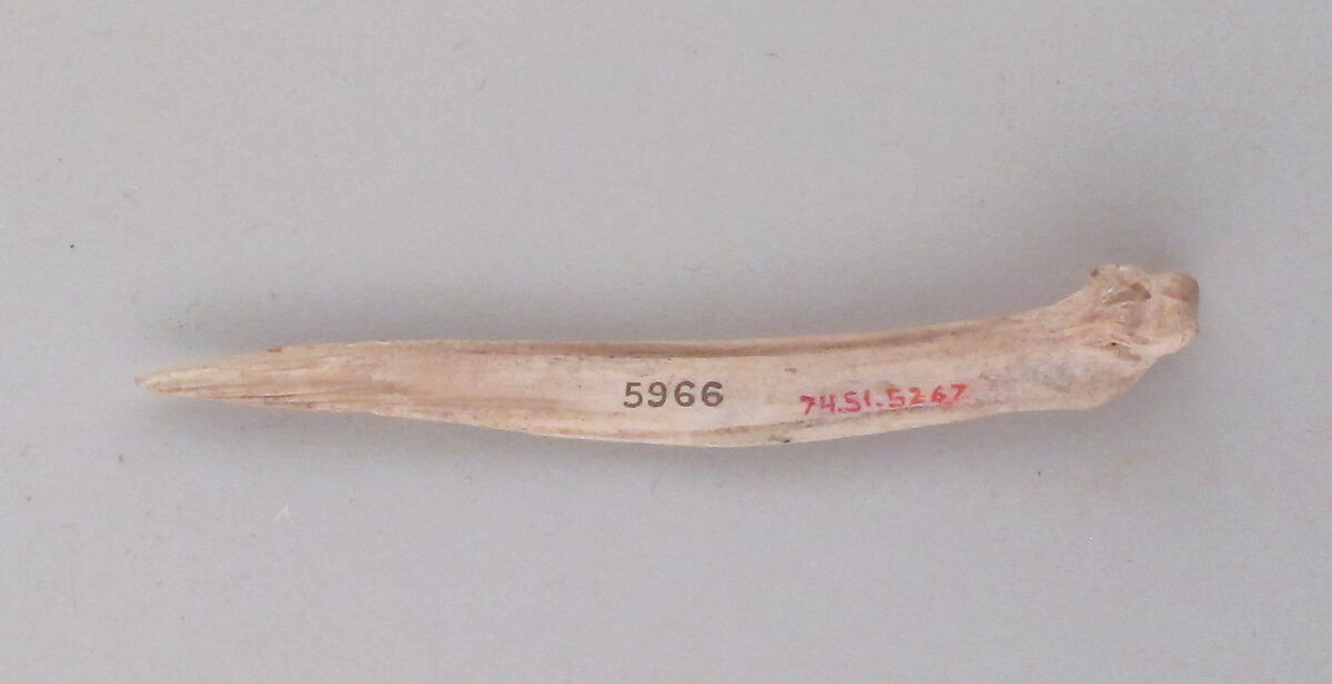 Awl, Fish bone, Cypriot 