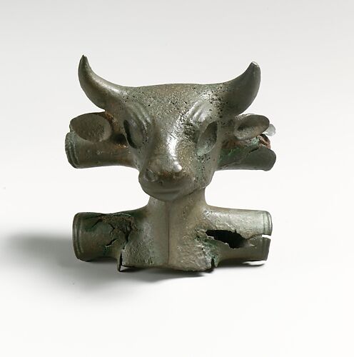 Bronze bull's head