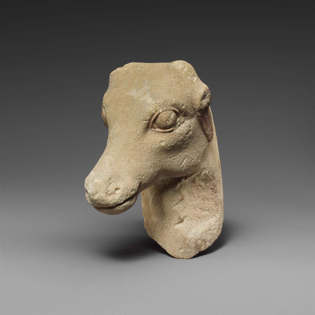 Limestone head of a deer, Limestone, Cypriot 