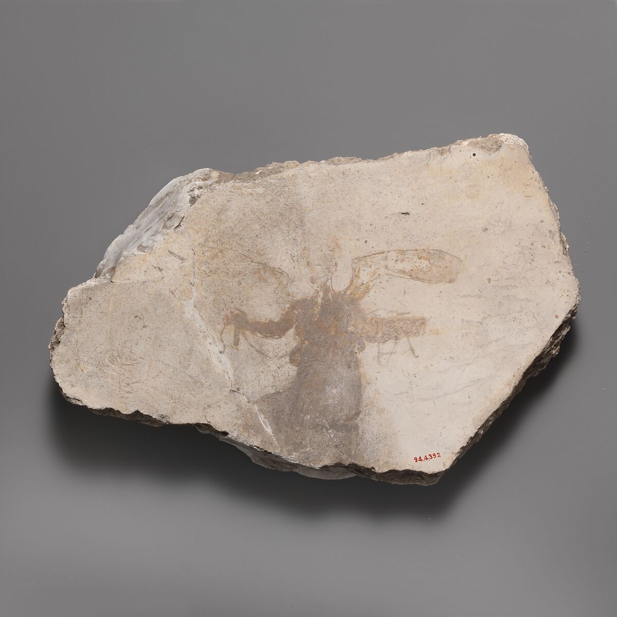 Wall painting fragment with winged figure, Fresco, Roman 