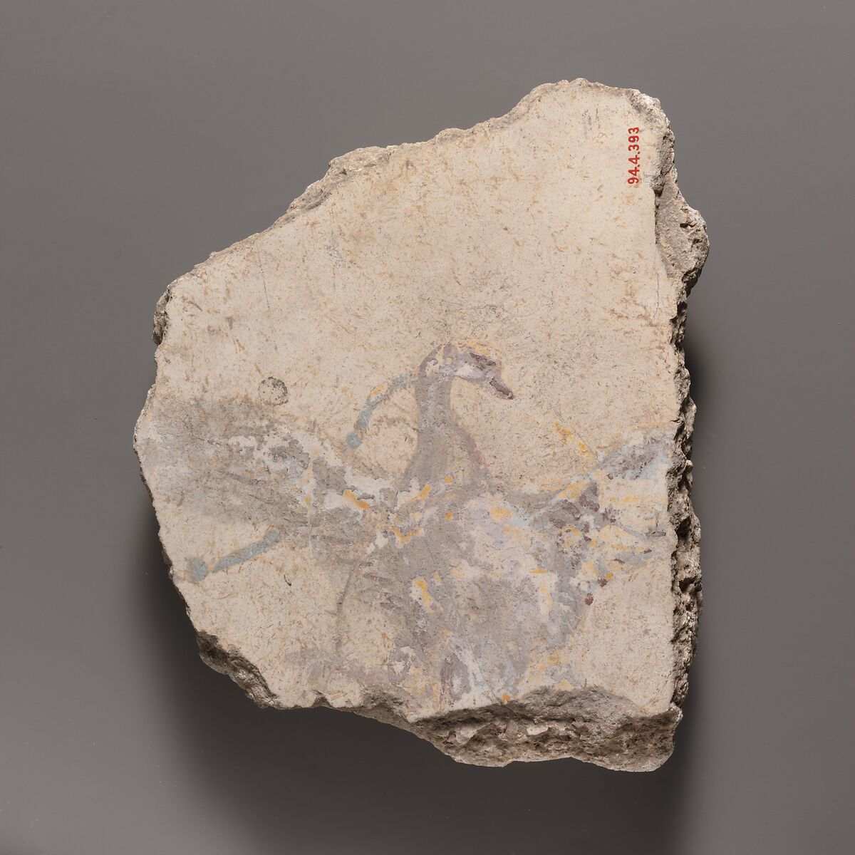 Wall painting fragment with a swan, Fresco, Roman 